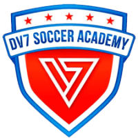 DV7 Academy Logo
